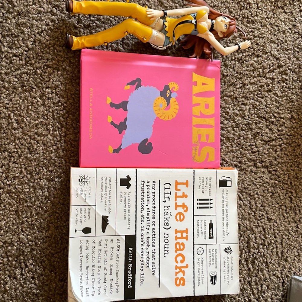 Life, hacks, book, Aries, book and anime doll